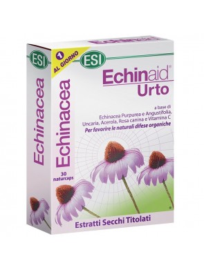 Echinaid Urto 30cpr